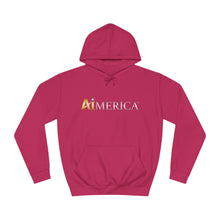 Load image into Gallery viewer, Aimerica™ Brand Unisex College Hoodie