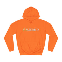 Load image into Gallery viewer, United States of Aimerica™ Brand Unisex College Hoodie