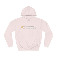 Load image into Gallery viewer, Aimerica™ Brand Unisex College Hoodie