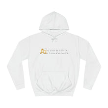 Load image into Gallery viewer, United States of Aimerica™ Brand Unisex College Hoodie