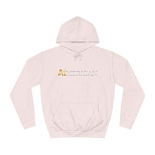 Load image into Gallery viewer, Aimerican™ Brand Unisex College Hoodie