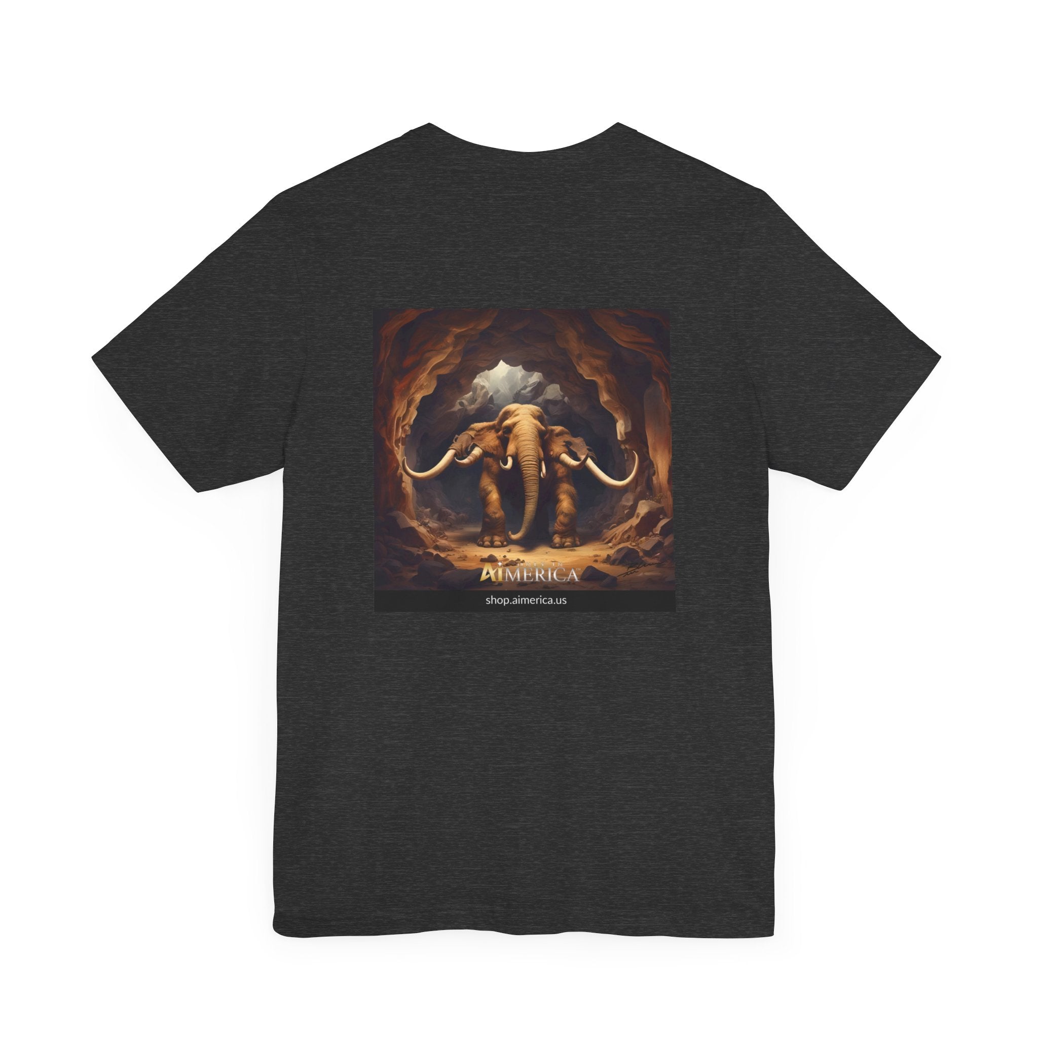 Aimerican Ads™ Brand Retail Fit Unisex Jersey Short Sleeve Tee - Don't Run Edition